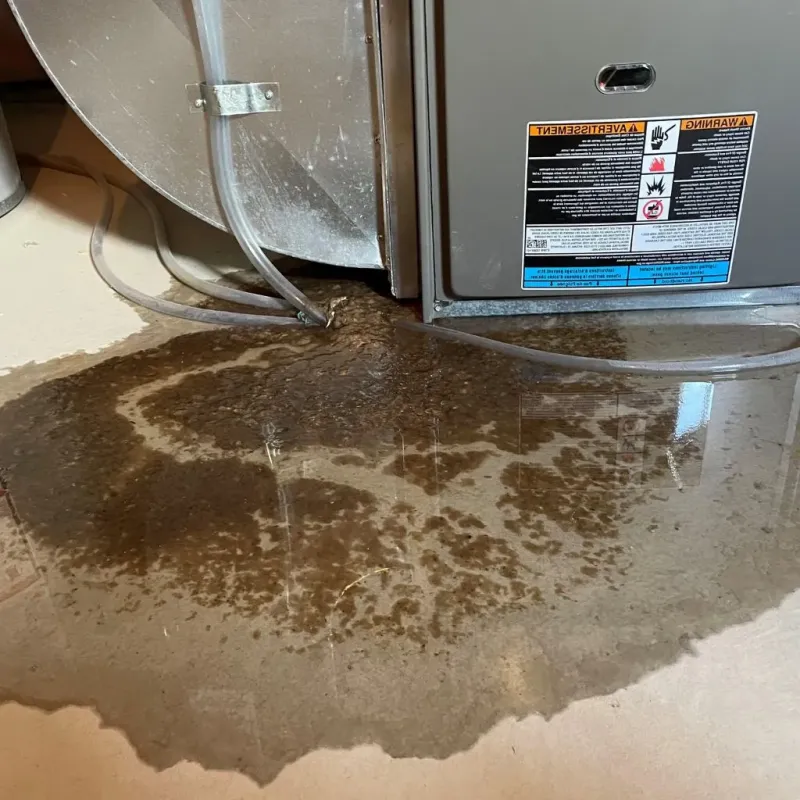 Pipe Burst and Leak Restoration in Bon Aqua Junction, TN